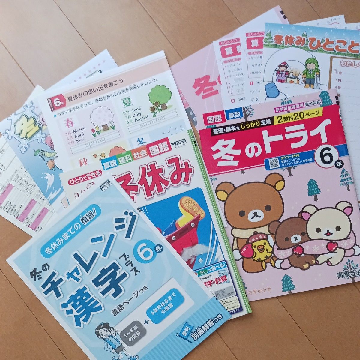 5年 6年 小学生 国語 算数 理科 社会漢字 計算 ドリル 問題集 家庭