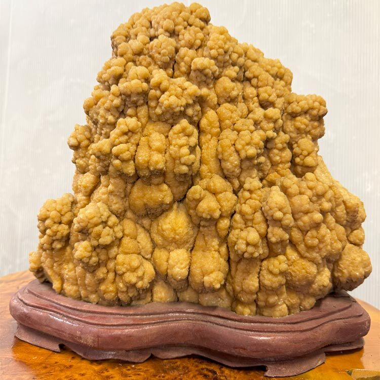 鍾乳石天然石天然記念盆石鉱物化石景石結晶古道具オブジェ
