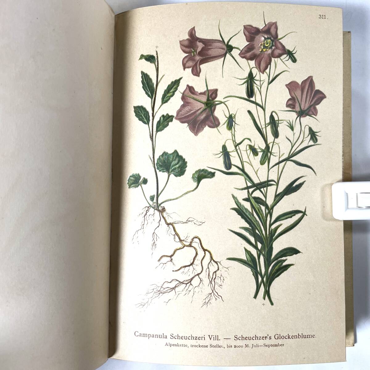 希少 美品「Atlas der Alpenflora」アルプス植物図鑑 全4巻完本 / 高山