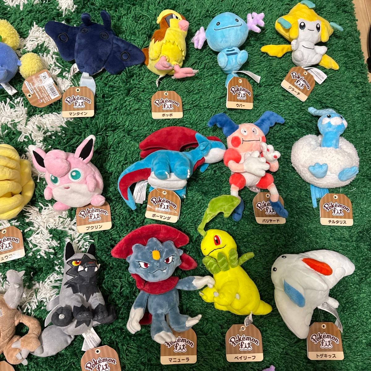 ぬいぐるみ ポケモンfit まとめ売り｜Yahoo!フリマ（旧PayPayフリマ）