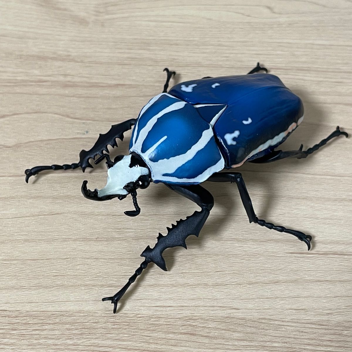 レア》 開封品 ウガンデンシスオオツノカナブン（ブルー） いきもの大