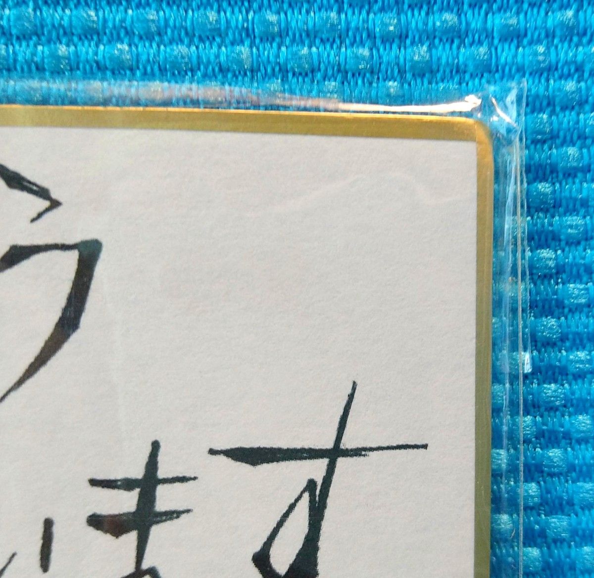 非売品 D Gray-man 複製サイン色紙 アレン ティムキャンピー 星野桂