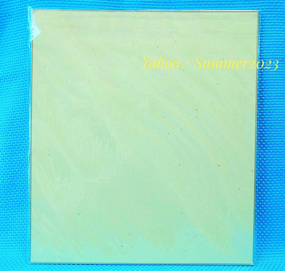 非売品 D Gray-man 複製サイン色紙 アレン ティムキャンピー 星野桂