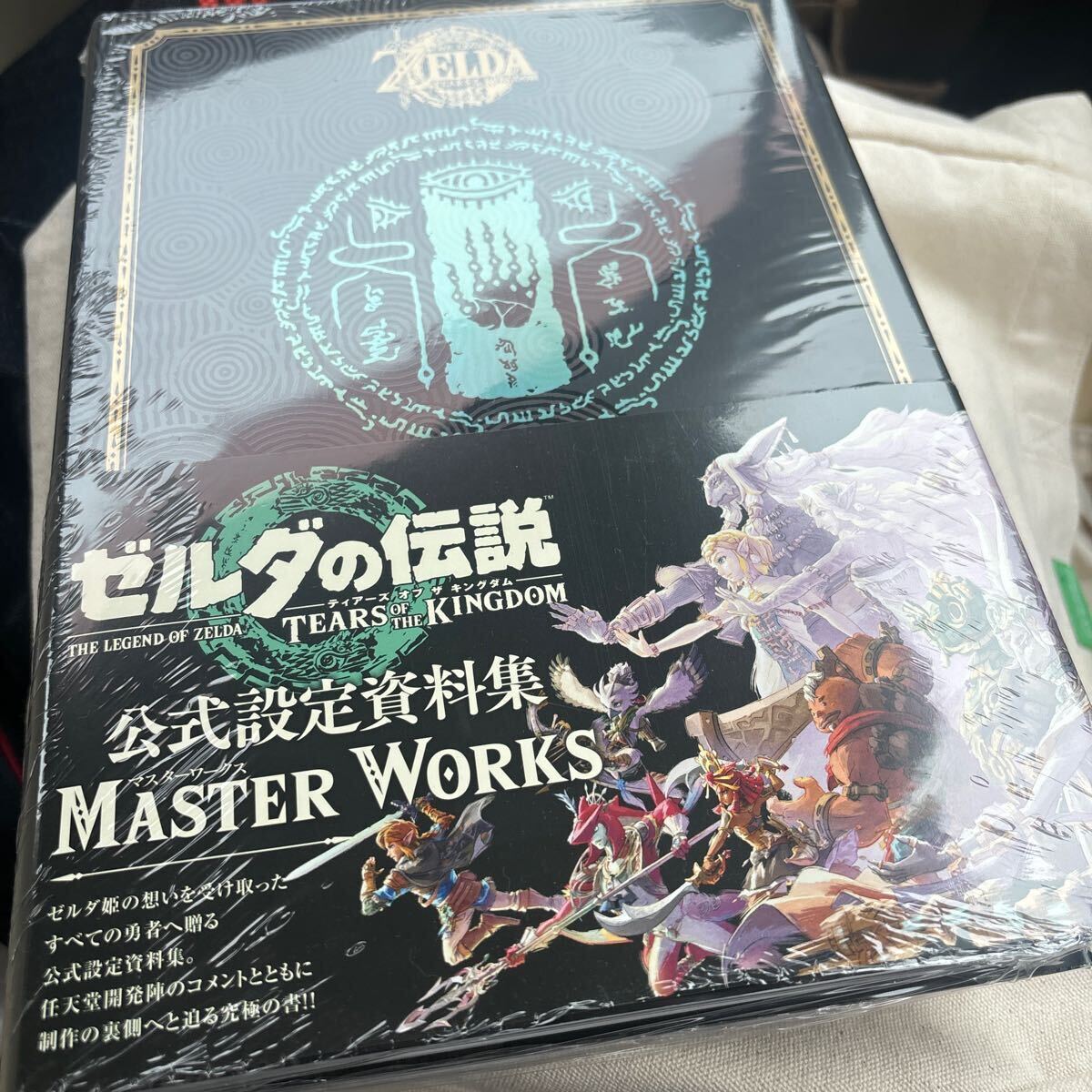 ゼルダの伝説 ティアーズ オブ ザ キングダム マスターワークス 公式