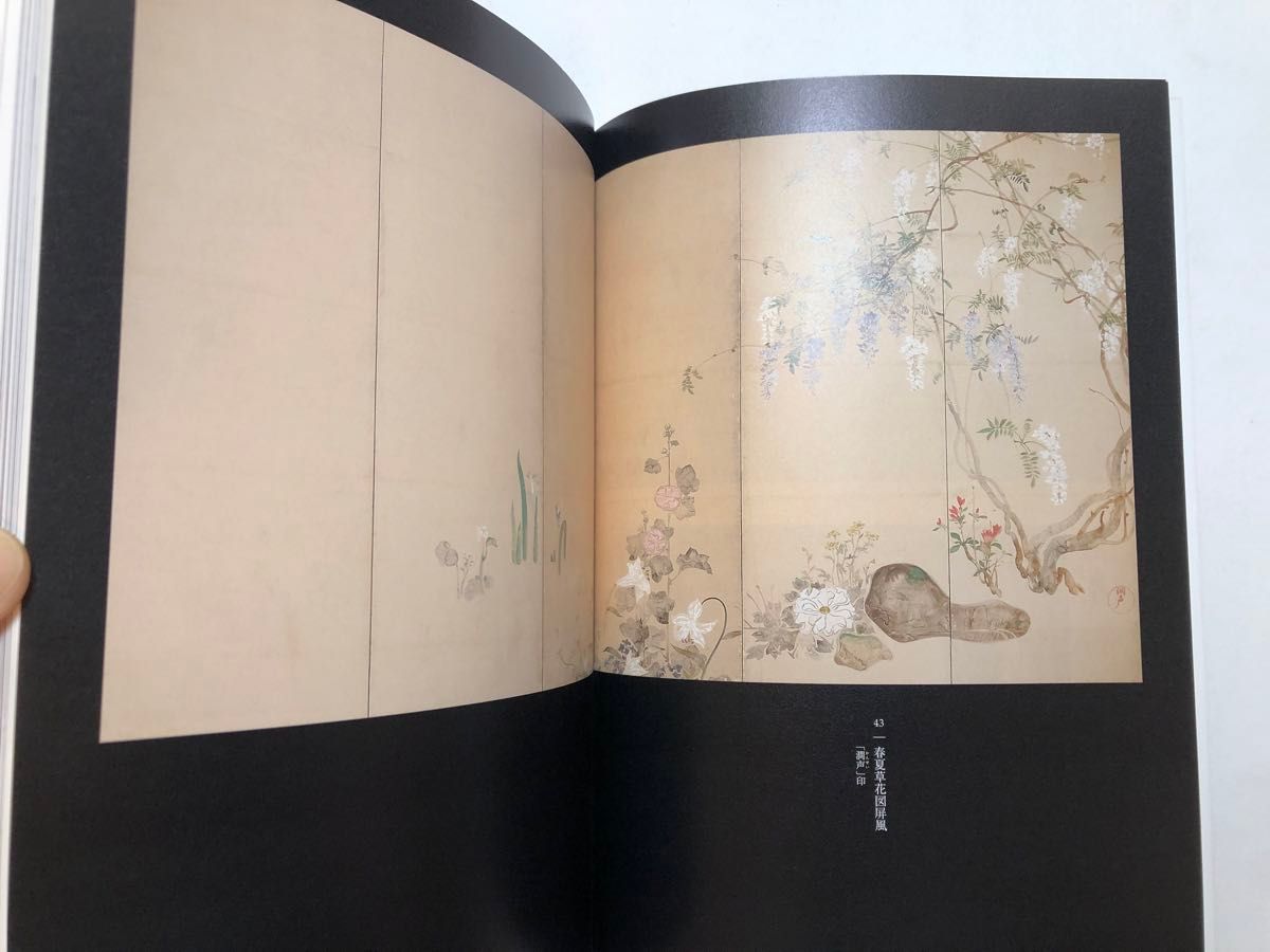 光琳を慕う 中村芳中 日本画 図録 画集 水墨画｜Yahoo!フリマ（旧