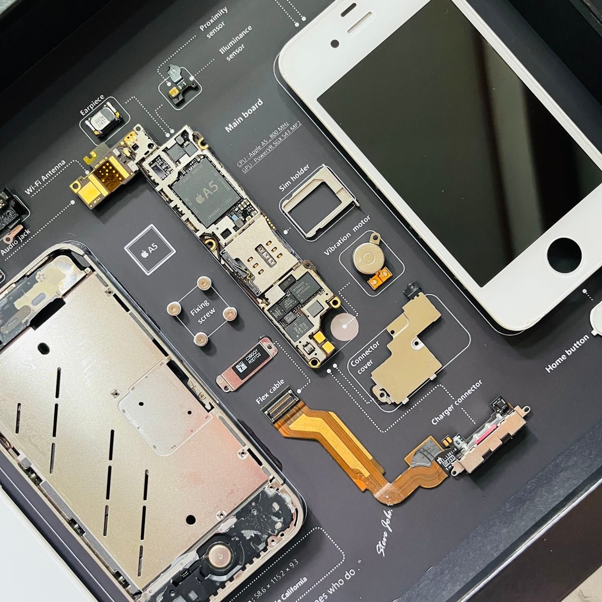 iPhone 4s 標本アート ボックスフレーム仕様｜Yahoo!フリマ（旧PayPay