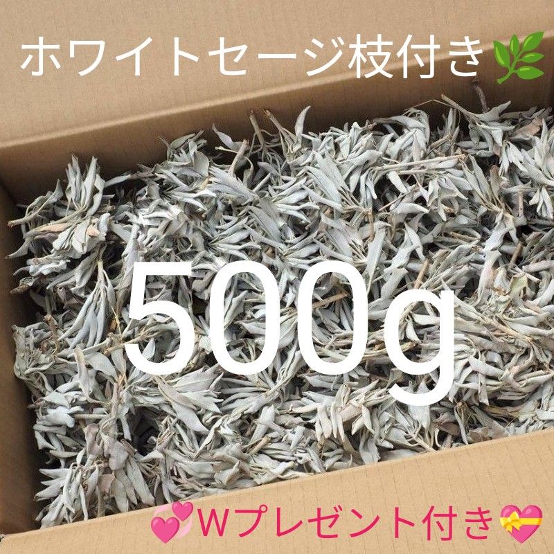 特選再入荷 無農薬カリフォルニア産【箱配送500g高品質ホワイトセージ