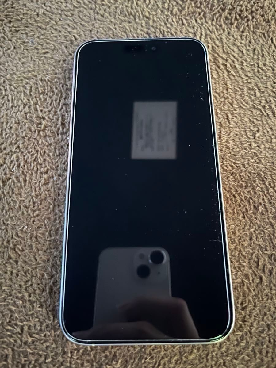 SIMフリー iPhone15 Pro Max 256GB ナチュラルチタニウム（使用期間1