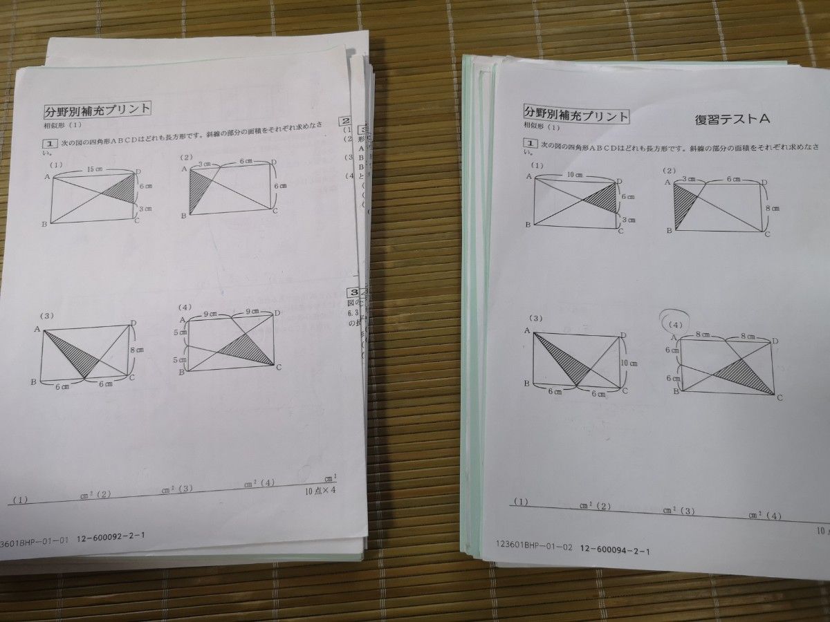 2024年度終了 Sapix サピックス 6年生 図形 分野別補充プリント+ 復習