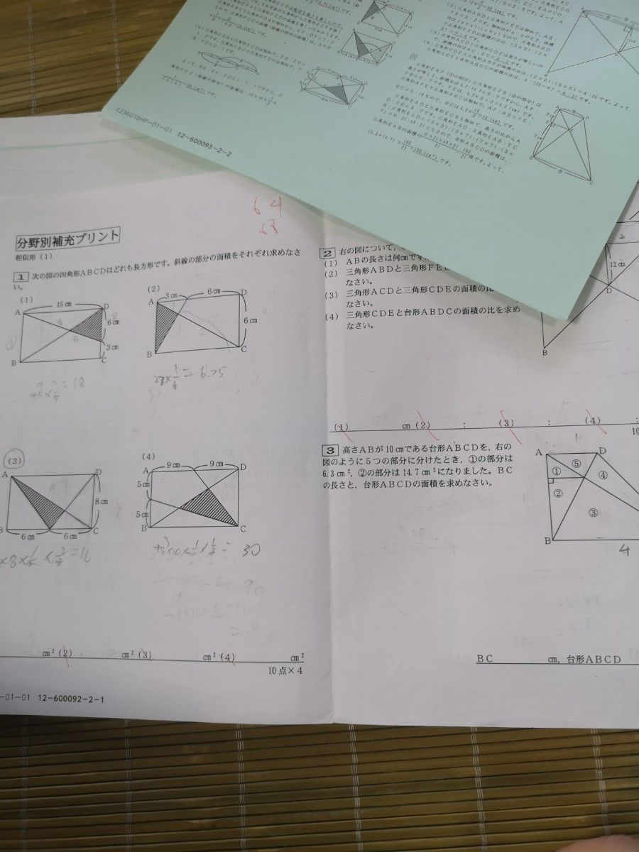 2024年度終了 Sapix サピックス 6年生 図形 分野別補充プリント+ 復習