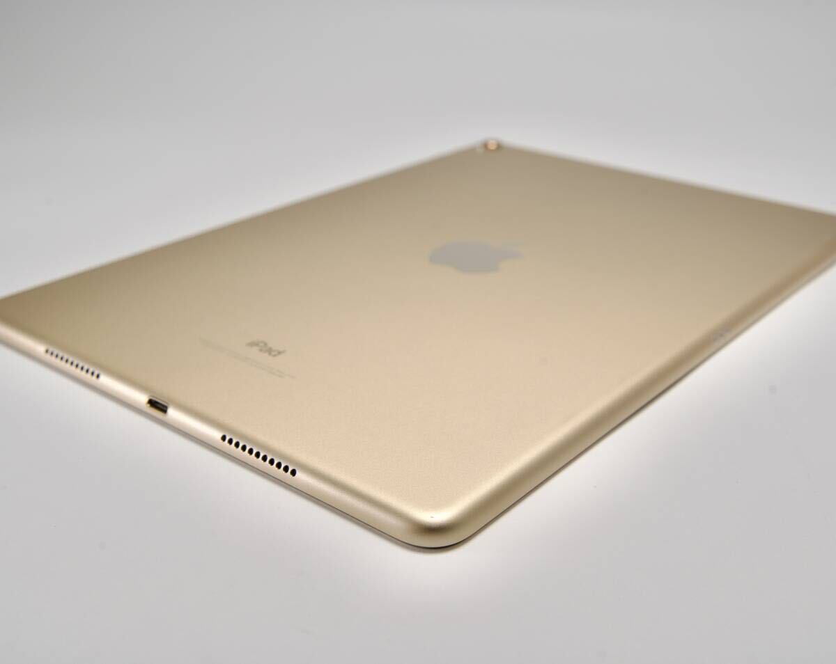 iPad (10.5) ゴールド+Apple Pencil +キーボードケース iPad (10.5