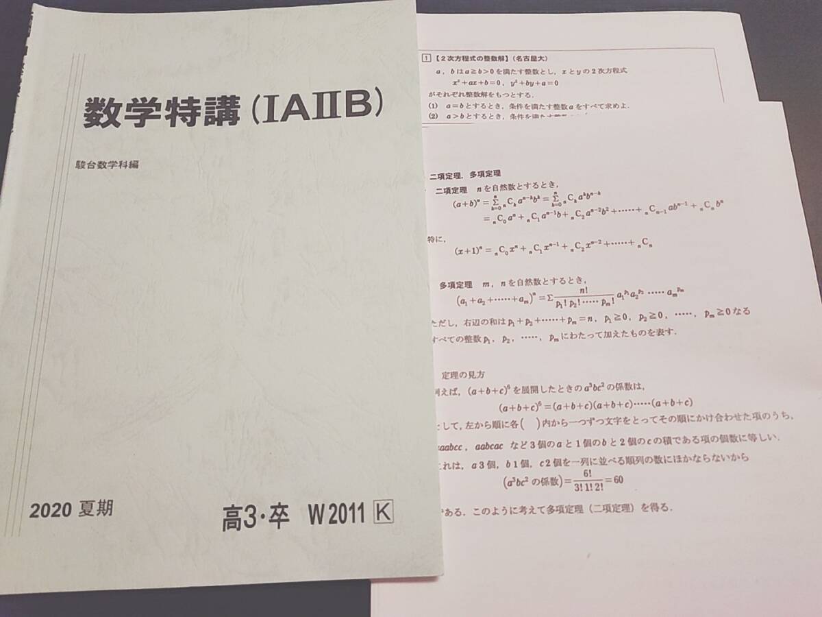駿台 数学特講ⅠAⅡB 夏期 藤井・小山先生 テキスト・プリントフル