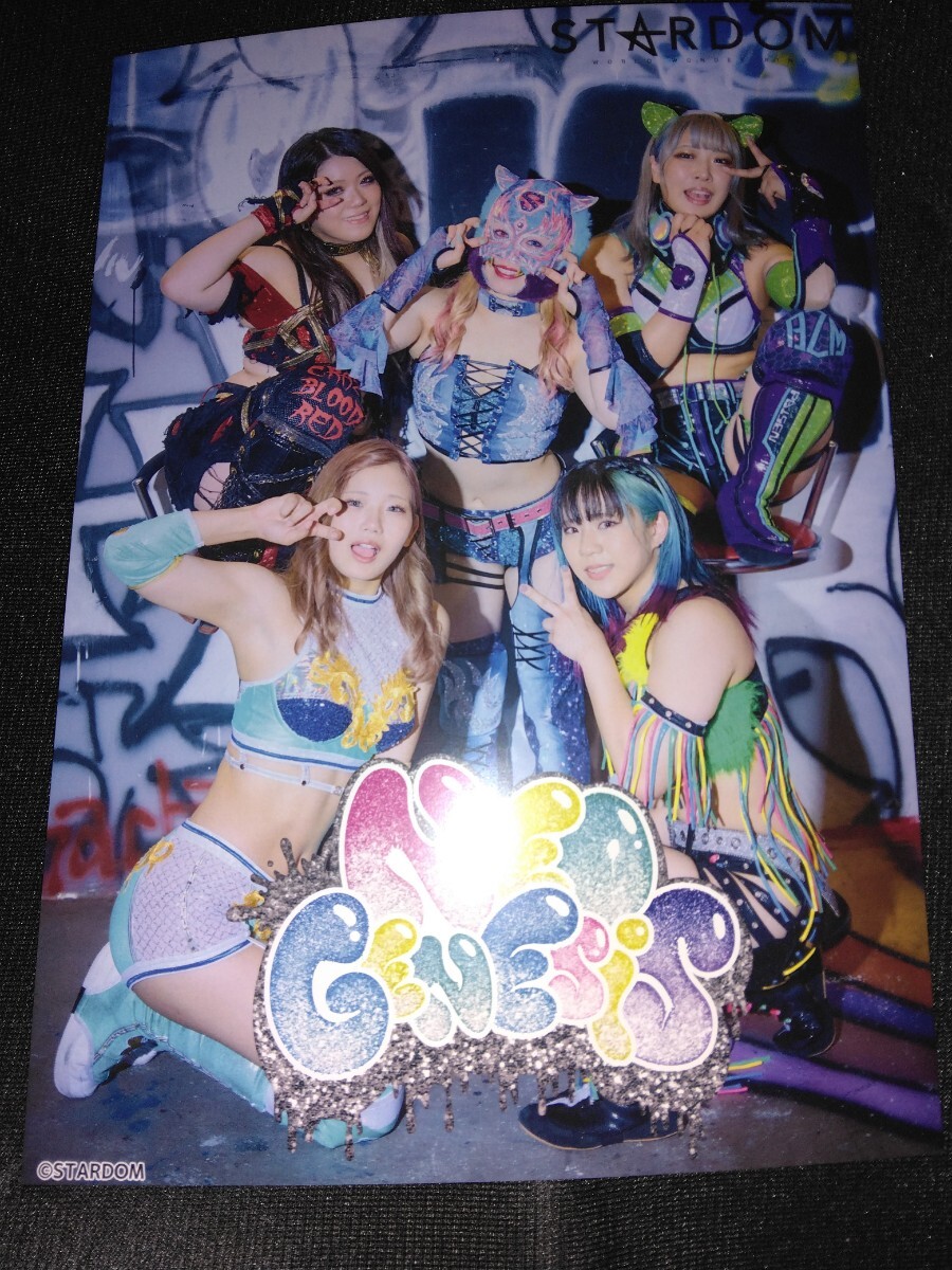 スターダム コズエン サイン入り パネル 女子プロレス スターダム