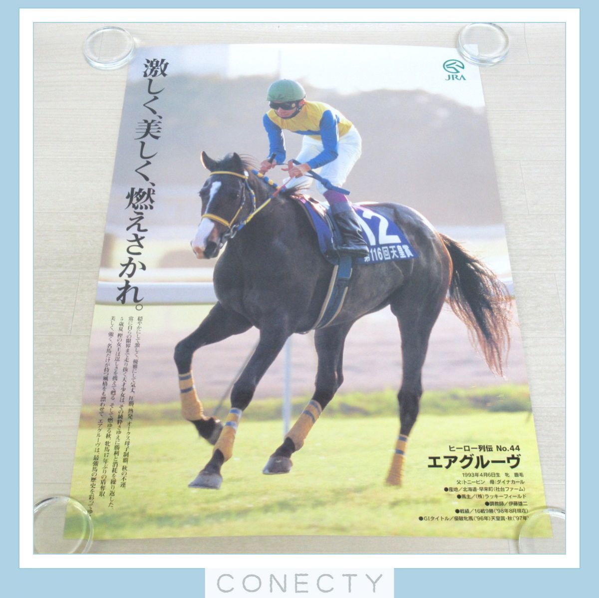 Yahoo!オークション - JRA ポスター ヒーロー列伝 エアグルーヴ B2サイ