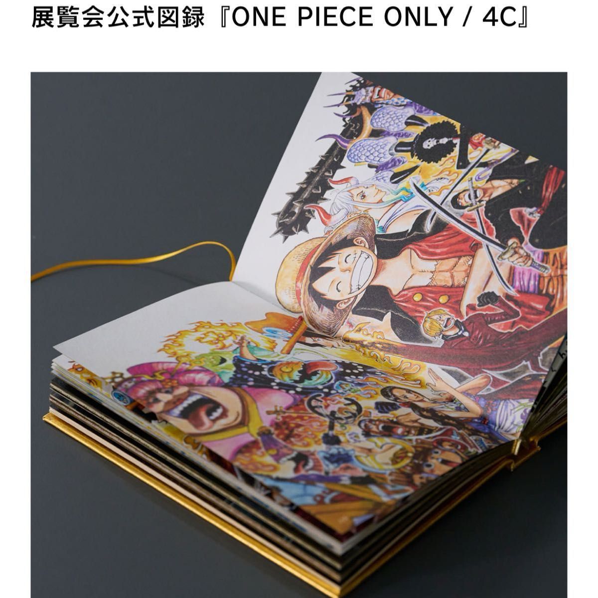 ワンピースオンリー展 展覧会公式図録『ONE PIECE ONLY / 4C』 カラー