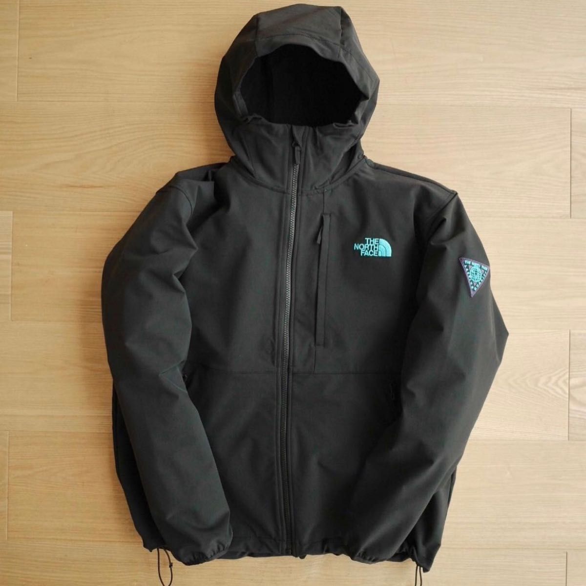 ノースフェイスマウンテン限定【93'Lasting Quality V3 Hoodie 】V3