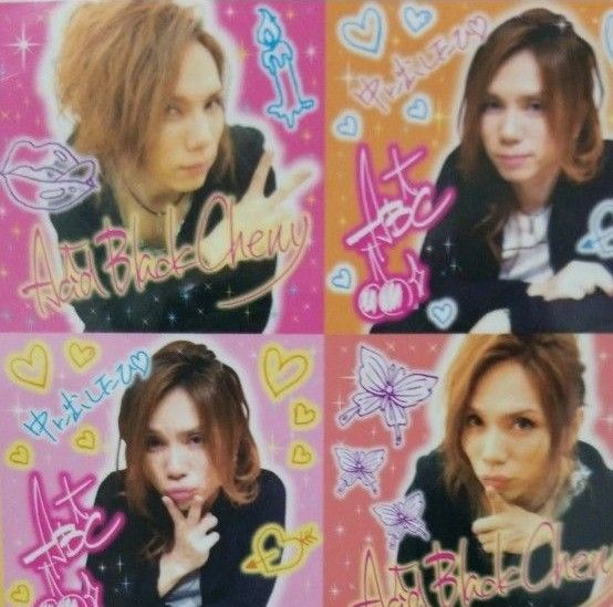 Acid Black Cherry プリクラシール タイプA タイプB 2枚セット yasu