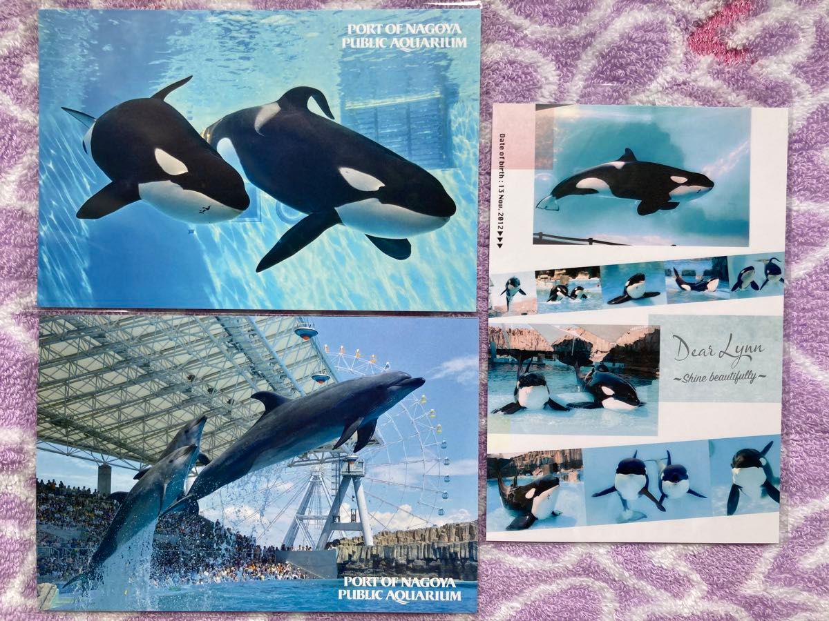 レア・ラスト1点】名古屋港水族館 シャチ リンちゃん ステラ ポスター