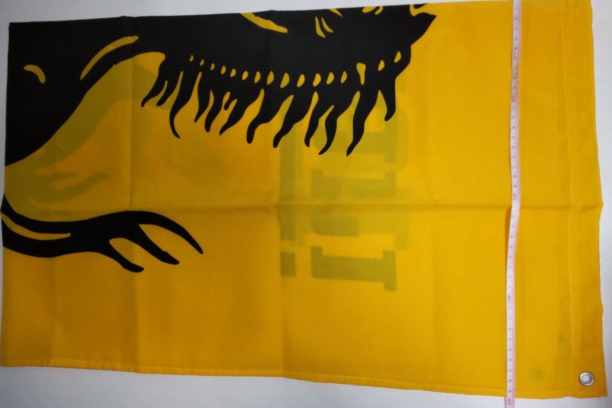 アシェット フェラーリ コレクション 専用 バインダー 2部入り 未開封