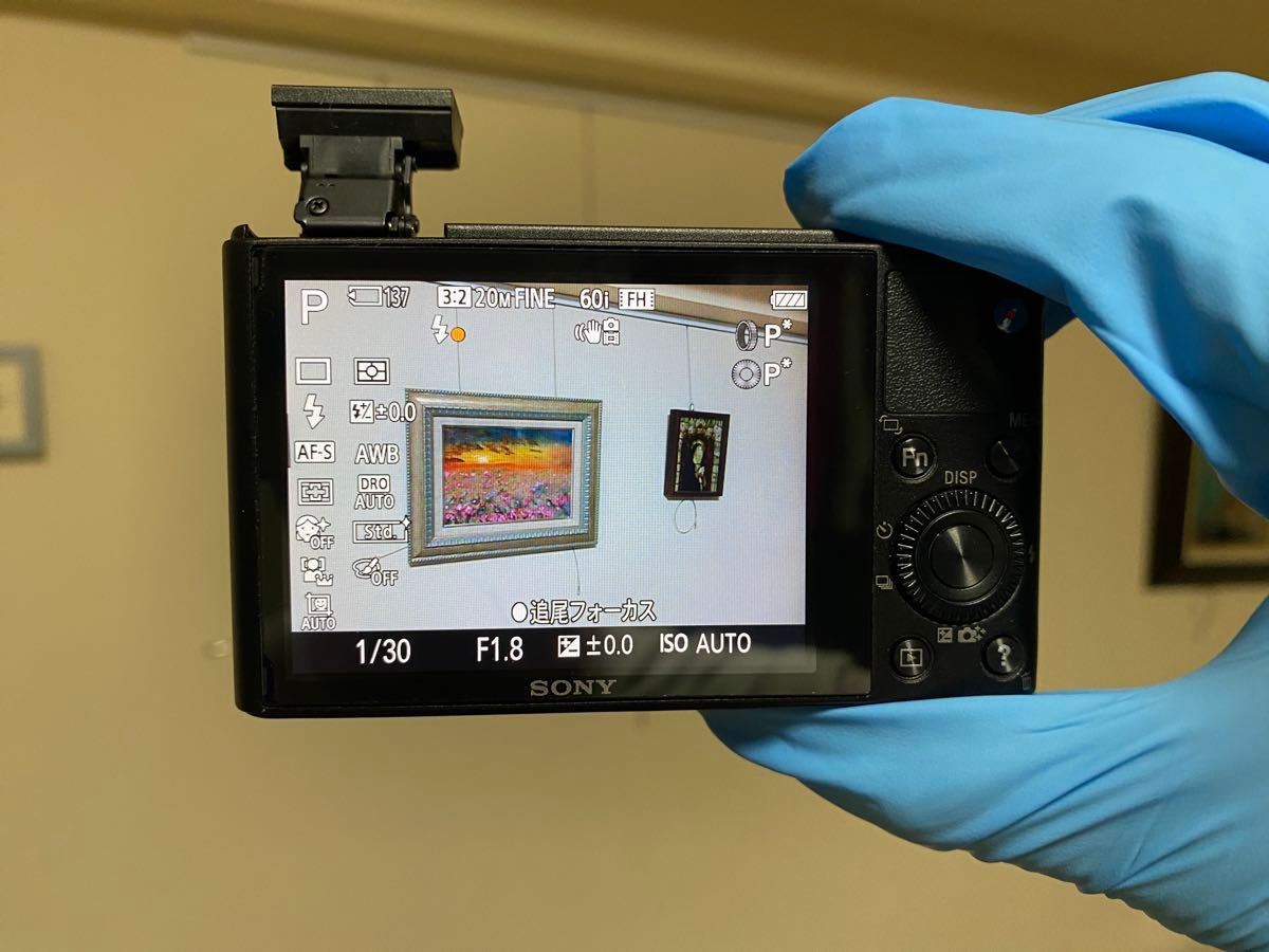 SONY サイバーショット DSC-RX100 初代 動作確認済み 傷あり 欠品あり