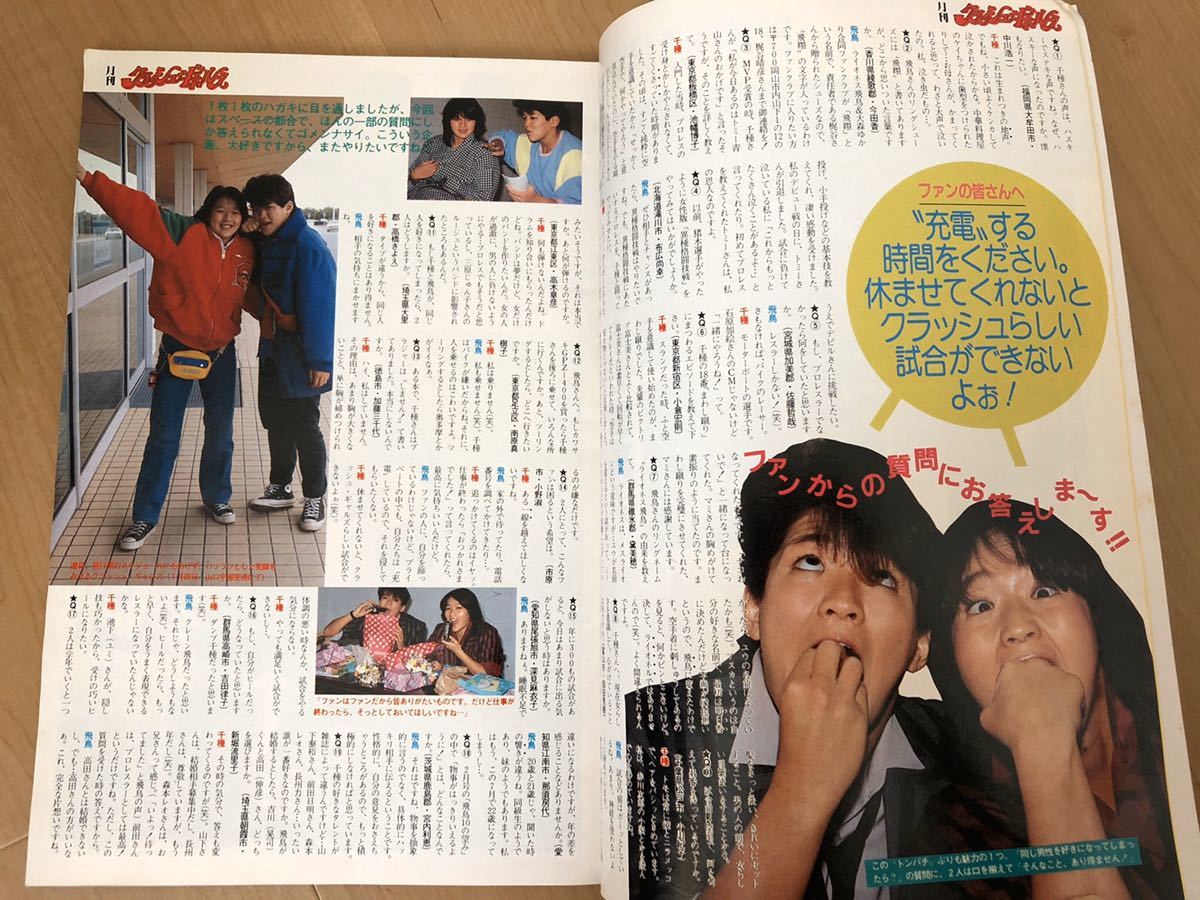 デラックスプロレス 1985年4月号 deluxeプロレス 月刊クラッシュ