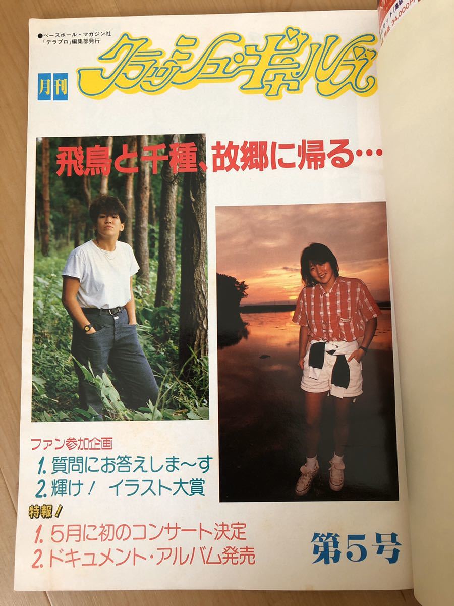 デラックスプロレス 1985年4月号 deluxeプロレス 月刊クラッシュ