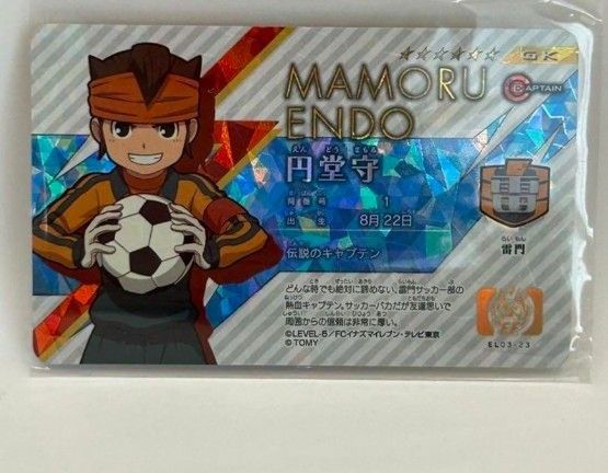 円堂守シークレット イレブンライセンス イナズマイレブン｜Yahoo