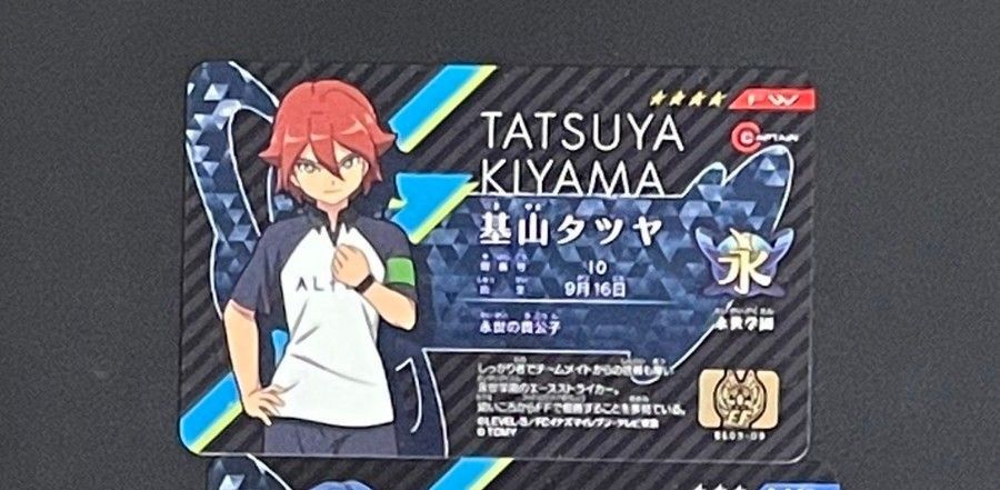 イレブンライセンス 基山タツヤ 基山ヒロト グラン イナズマイレブン