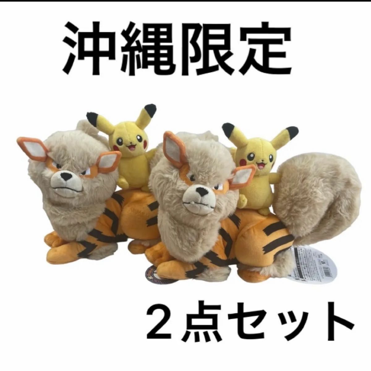 新品タグ付き】ポケモンセンター ウインディ×ピカチュウ ぬいぐるみ