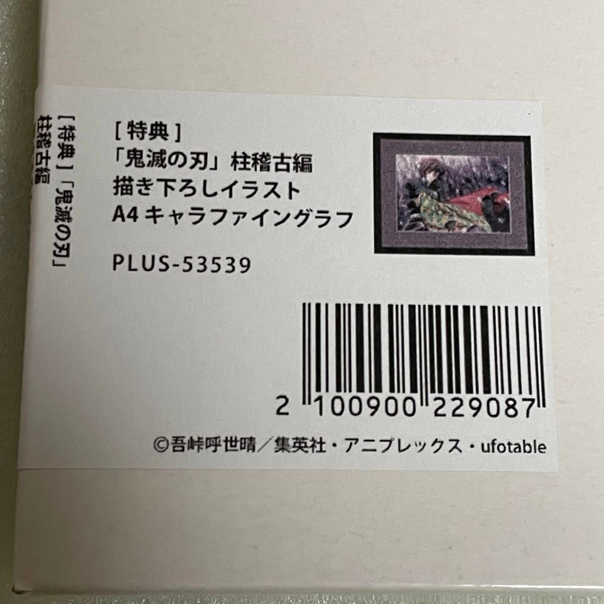 鬼滅の刃 キャラファイングラフ 冨岡義勇 義勇 柱稽古編 DVD Blu-ray