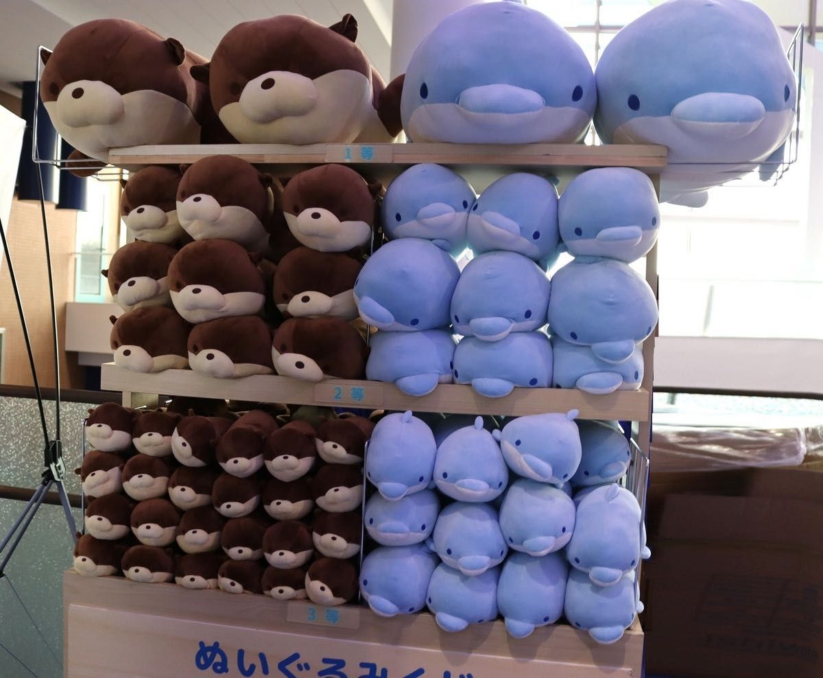 カワウソ ぬいぐるみくじ1等 アクアワールド大洗水族館｜Yahoo!フリマ