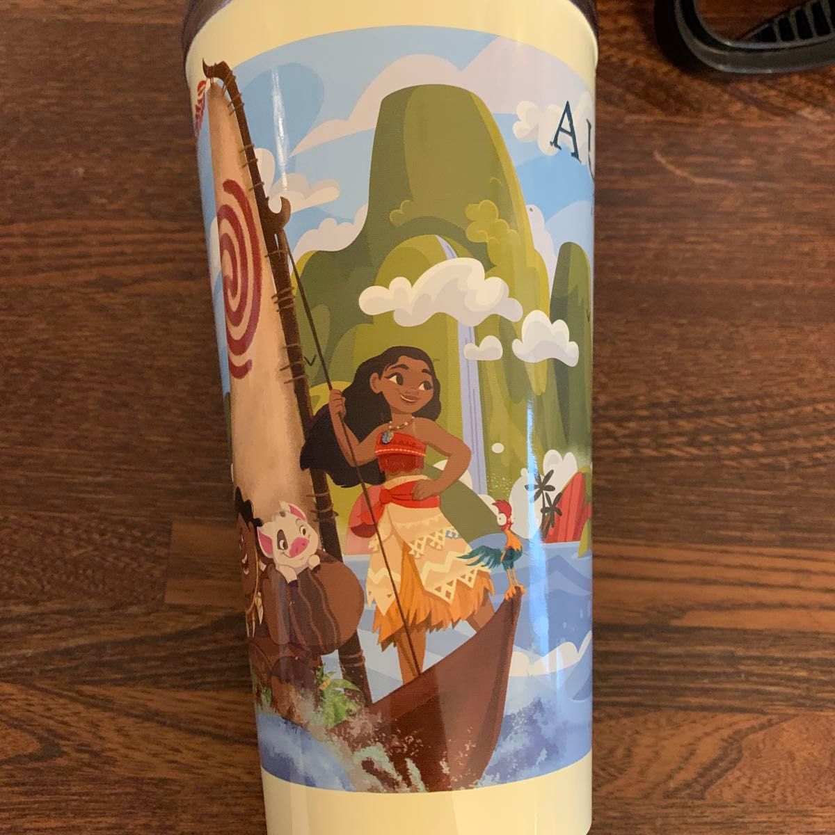 アウラニ ディズニーリゾート リフィルマグ タンブラー 2個セット