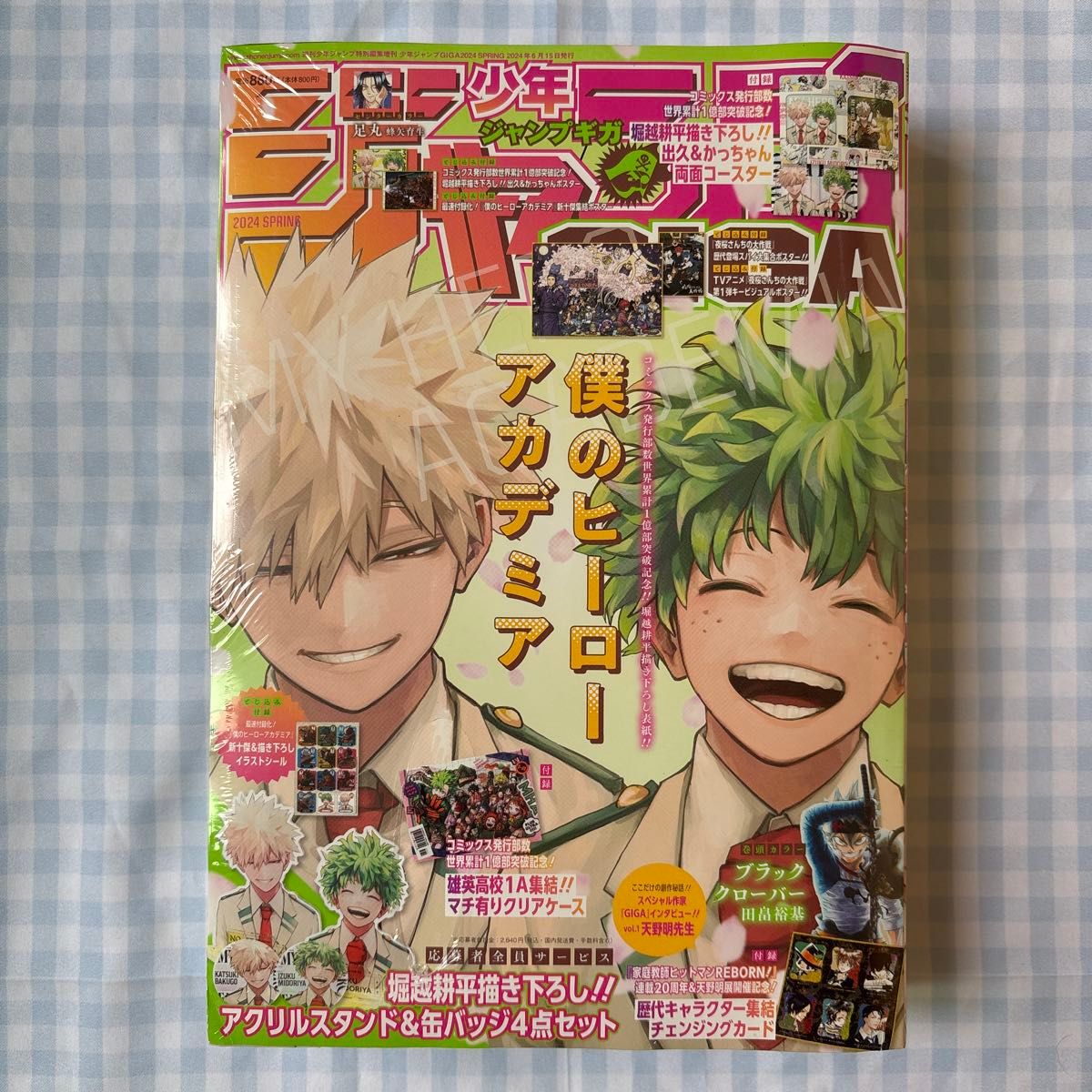 ジャンプGIGA 2024年6月 僕のヒーローアカデミア 応募者全員サービス
