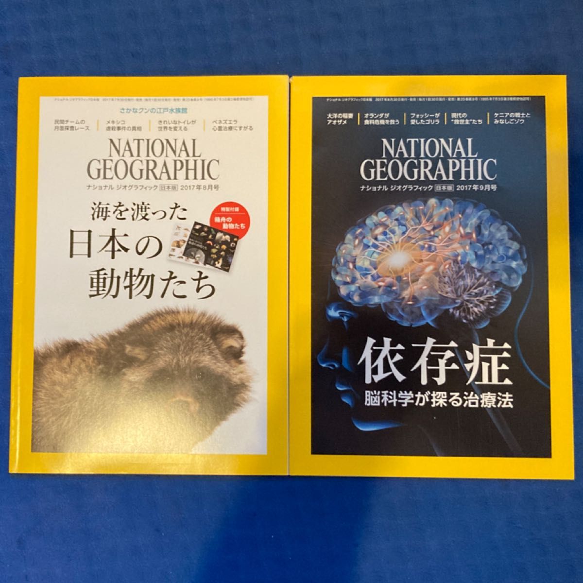 ナショナルジオグラフィック 96年10月号〜08年9月号143冊セット