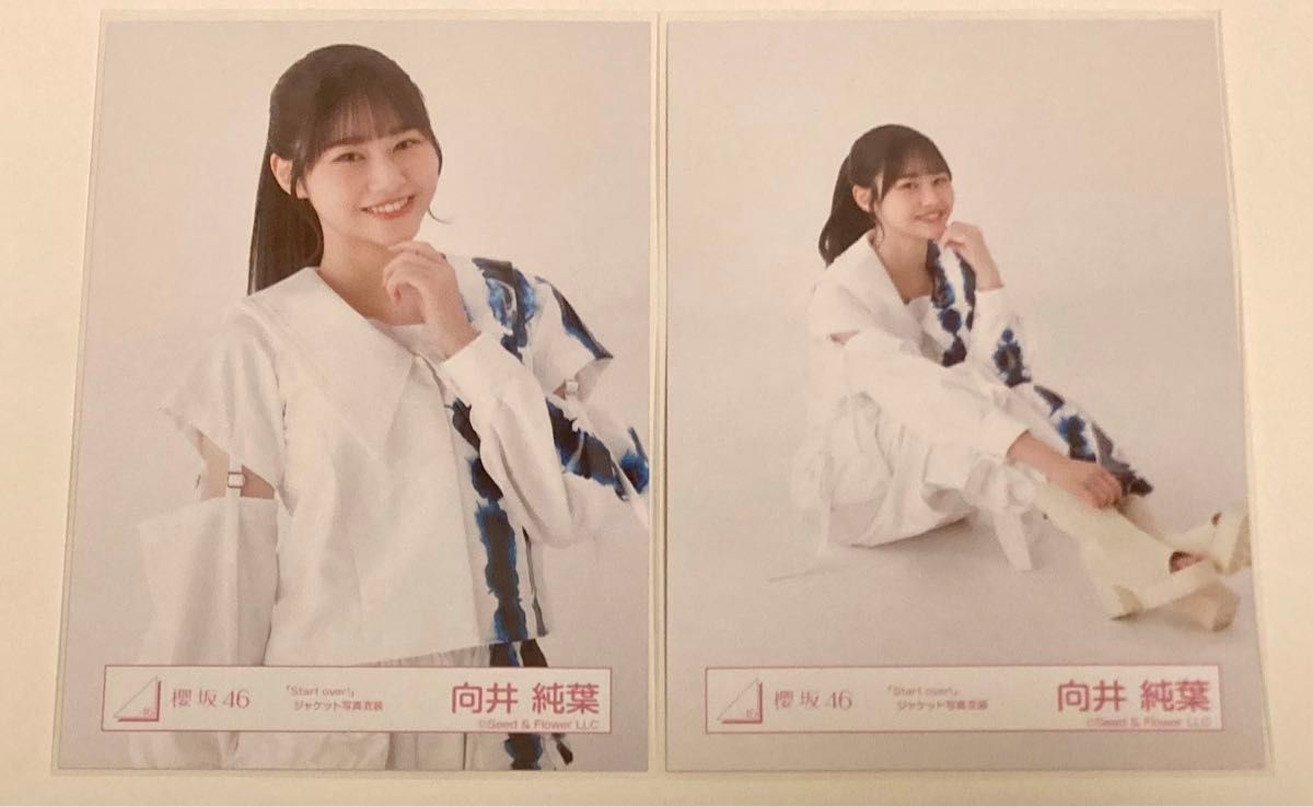 櫻坂46三期生生写真 「Start Over 」ジャケット写真衣装9枚セット バラ