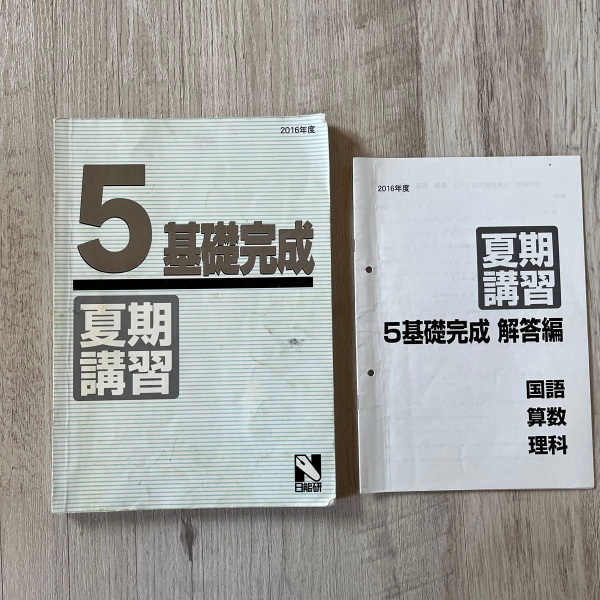 日能研 5 基礎完成 夏期講習 テキスト 算数 理科 国語 問題集 本 中学