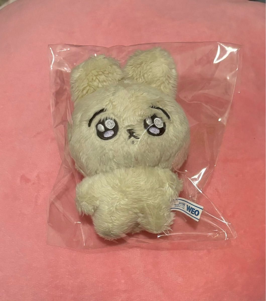 新品未使用】BTS ジョングク マスター うさぎ 10cm ぬいぐるみ