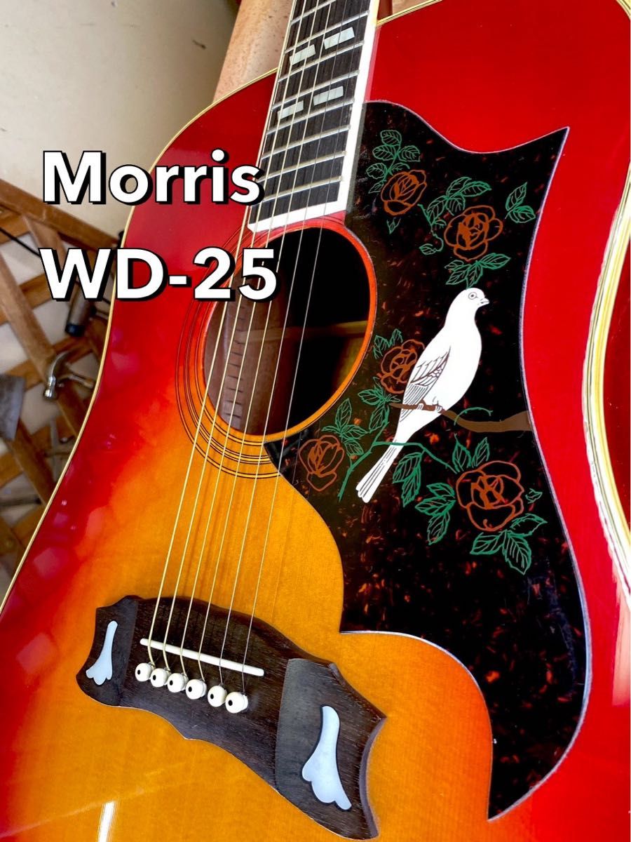 週末値下げ モーリスWD25ギブソンDOVEモデル クリーニング済み｜Yahoo