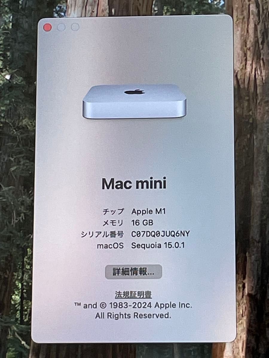 Mac mini M1 (2020)メモリ16GB / SSD256GB モデルZ12N000BN (8コアCPU