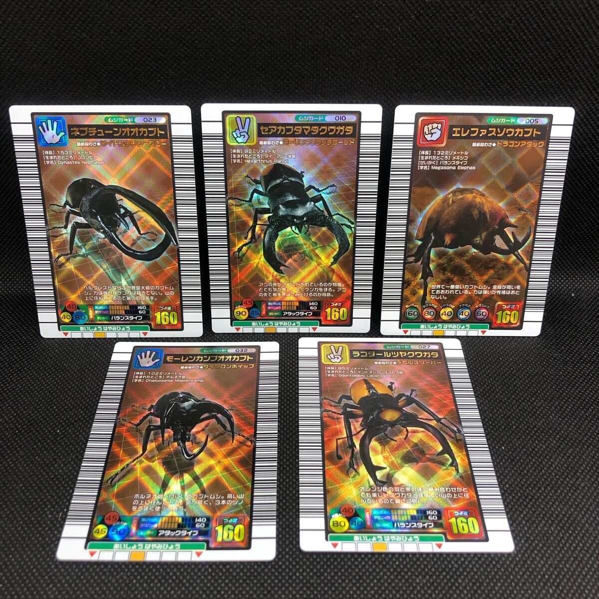 甲虫王者ムシキングカード 2004年ファースト拡張 銅 コンプリート