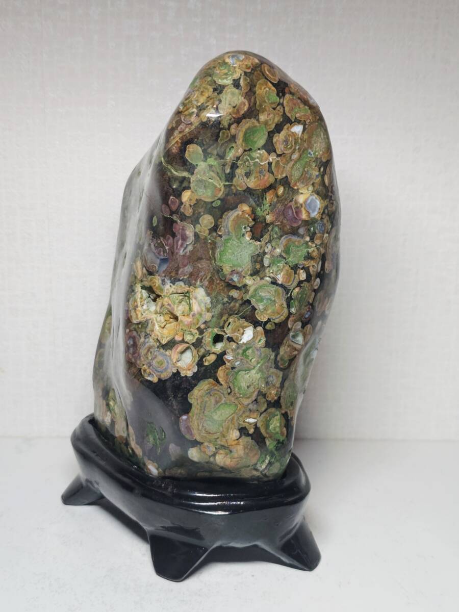 美品】 2 9kg 梅花石 紋石 花紋石 菊花石 原石 鑑賞石 自然石 天然石