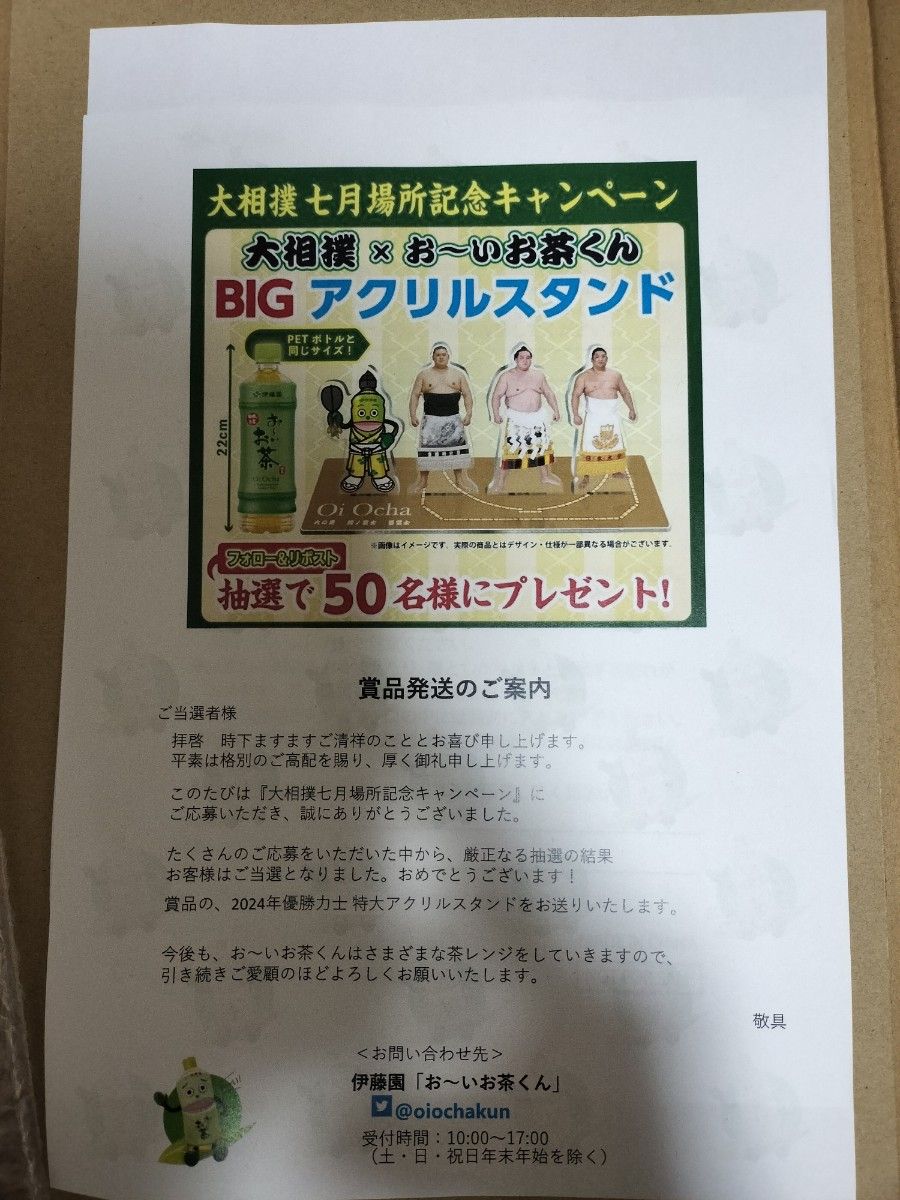 非売品 大相撲 特大 アクリルスタンド 照ノ富士関 尊富士関 大の里関