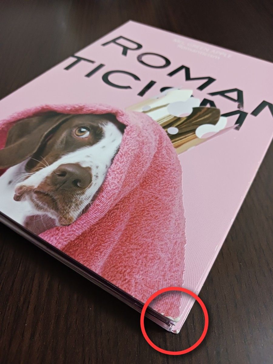 Mrs GREEN APPLE「ロマンチシズム・ 5000枚完全生産限定CD+DVD・アート