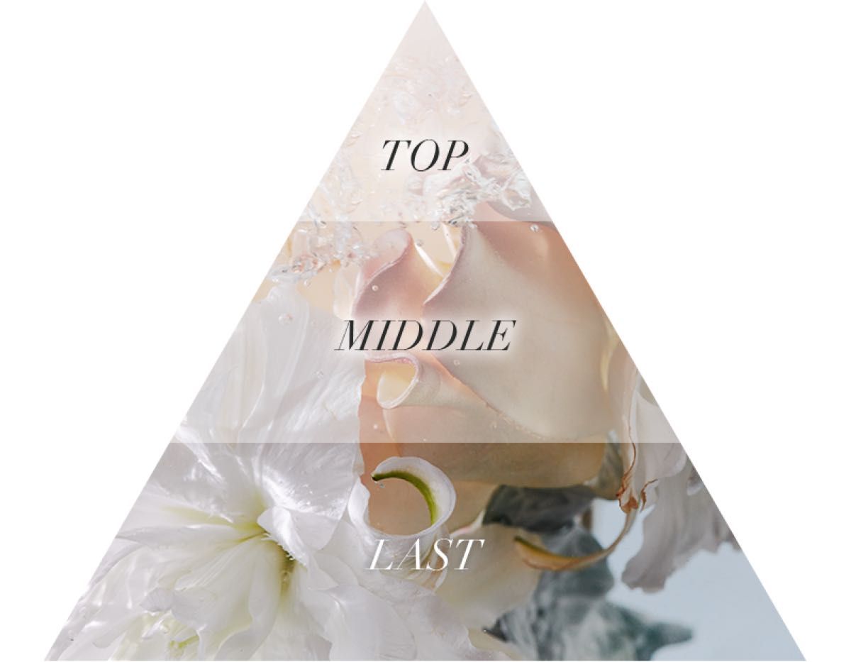 Aiam chapter 8 （ アイアム チャプター 8 ）50ml オードパルファン