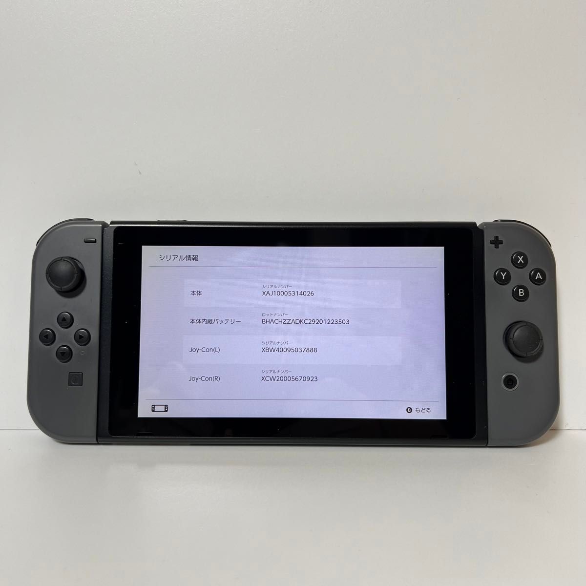 Switch スイッチ 未対策機・初期型 グレー 本体一式 付属品完品 2017年