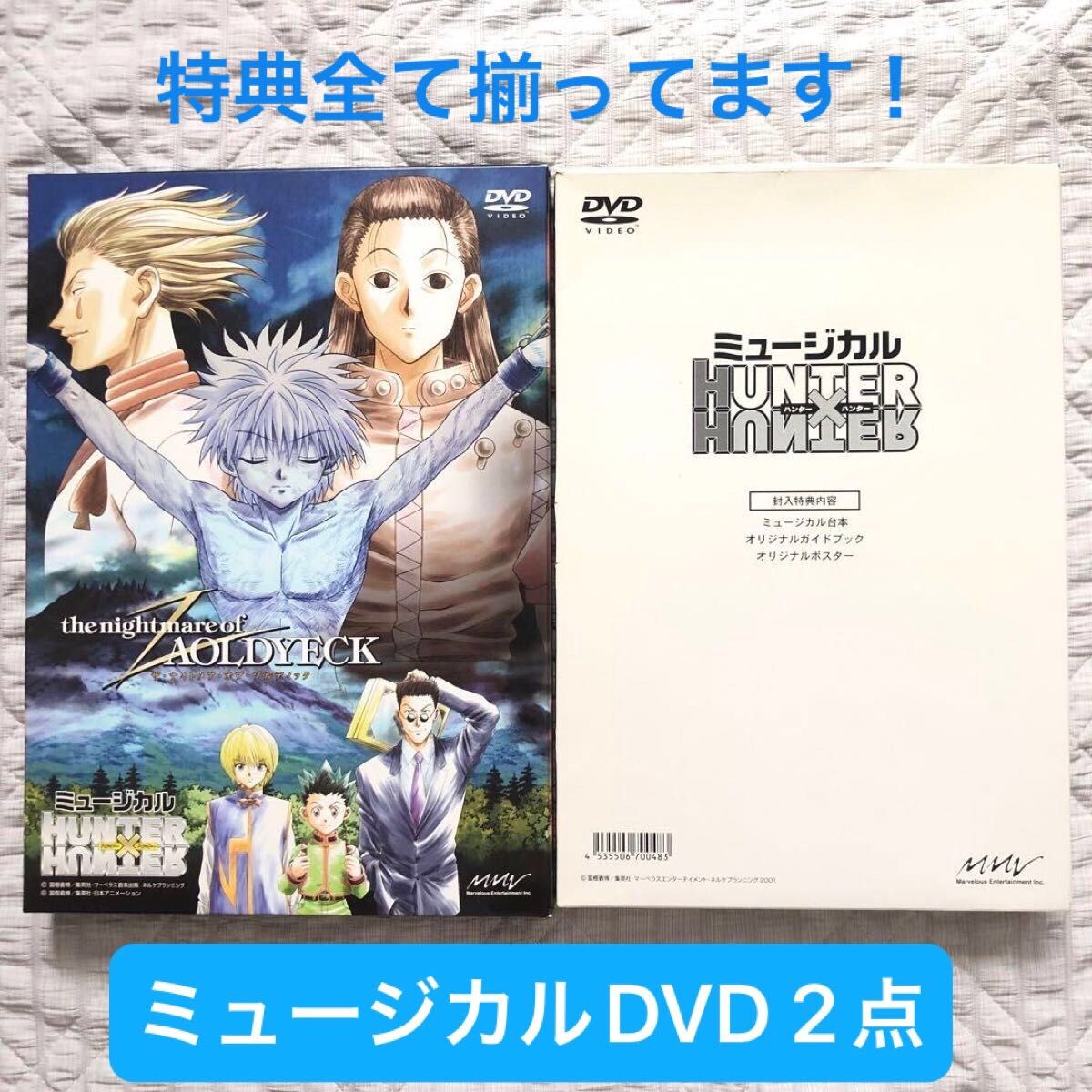 ミュージカル HUNTER×HUNTER DVD 特典あり ハンター×ハンター ザ