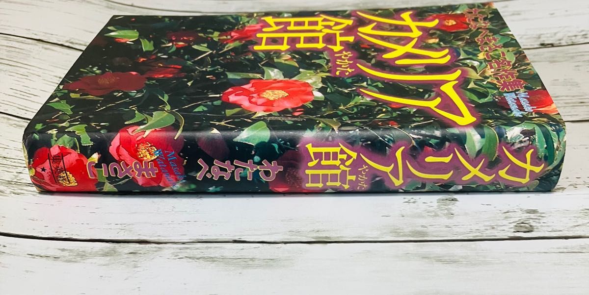 初版プレミアム】カメリア館 わたなべまさこ名作集 漫画 集英社 絶版