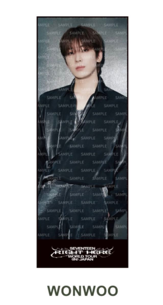新品 ウォヌSEVENTEEN セブチ RIGHT HERE JAPAN ビック フォトタオル