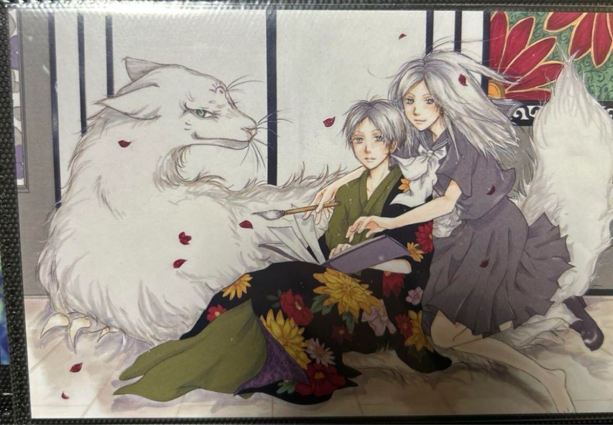 夏目友人帳 原作イラスト ポストカード ブロマイド 夏目貴志 ニャンコ