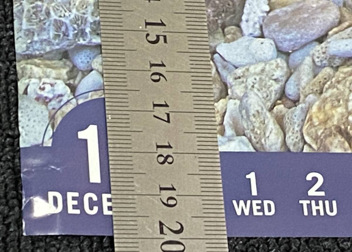 IMAGIO】安田美沙子 1of1 photcard 直筆サインカード